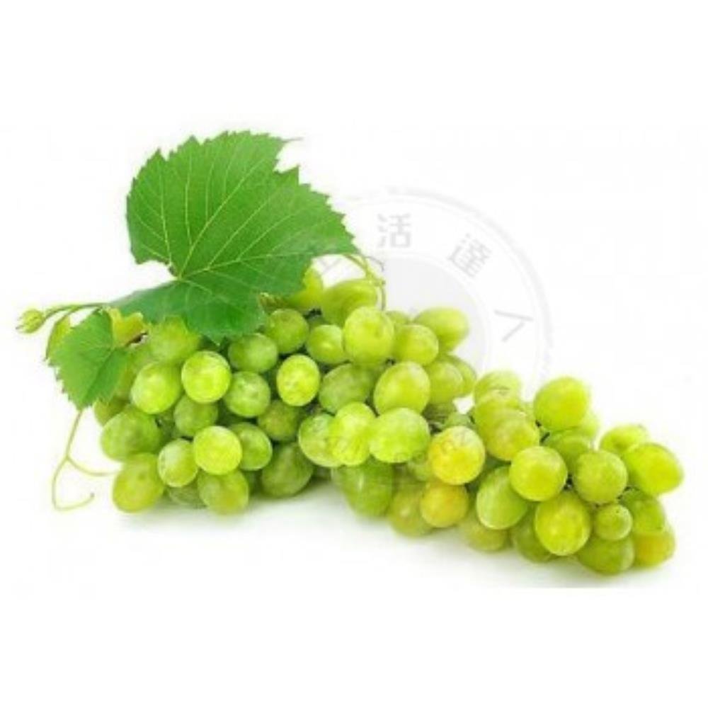 新鮮 無籽青葡萄1Kg/Bag