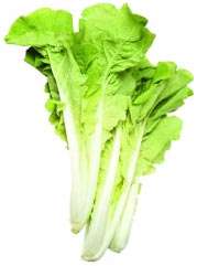 新鮮 台灣白菜(約250g/袋) Taiwan Bak Choy 250g