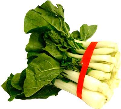 新鮮 廣東白菜仔(約250g/袋) Fresh Baby Bak Choy 250g Per Bag