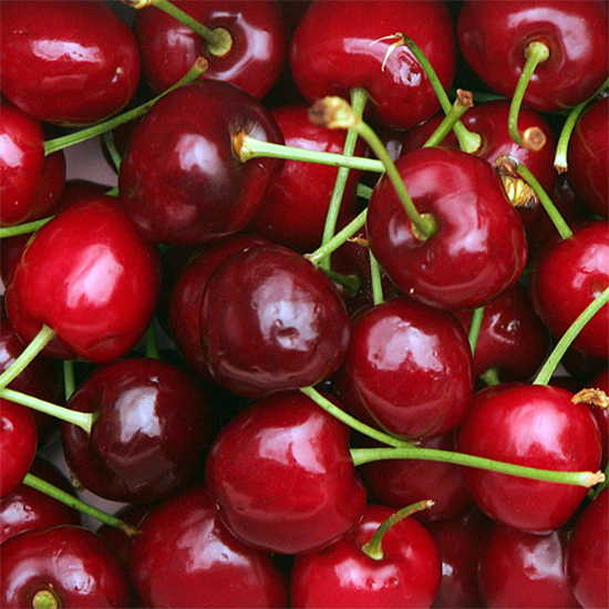 美國空運 珊瑚香檳櫻桃480-500g USA Coral Champagne Cherries 480-500g