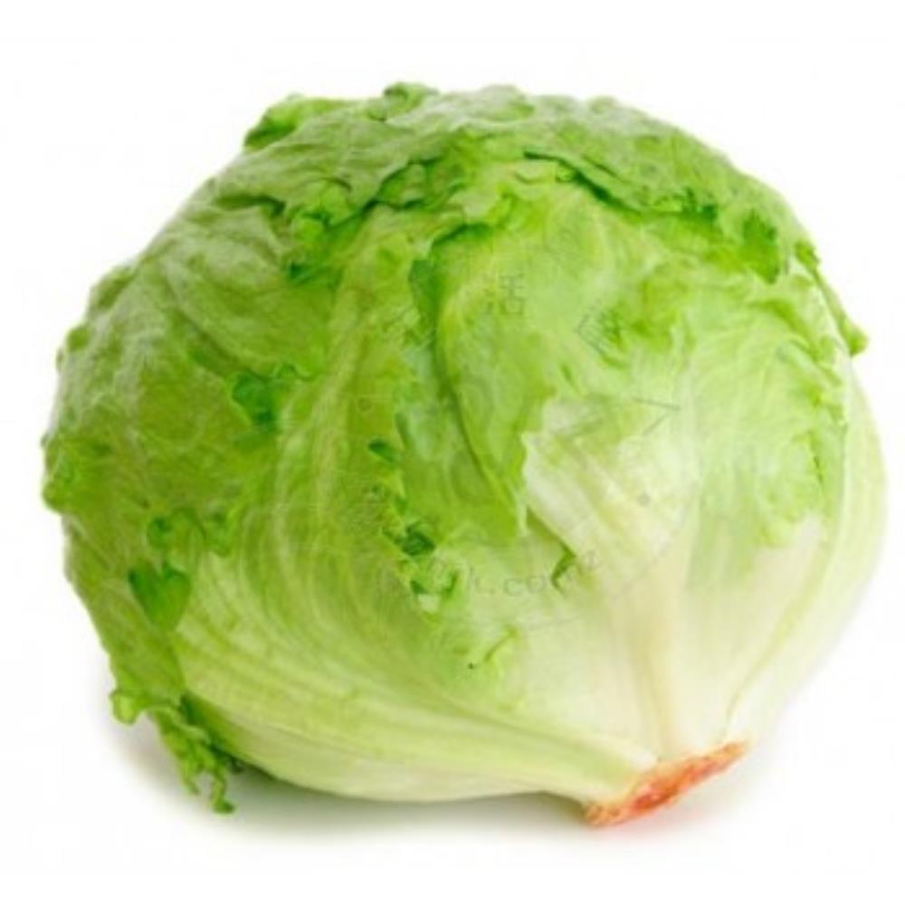 新鮮 生菜(1顆) Fresh Lettuce Each