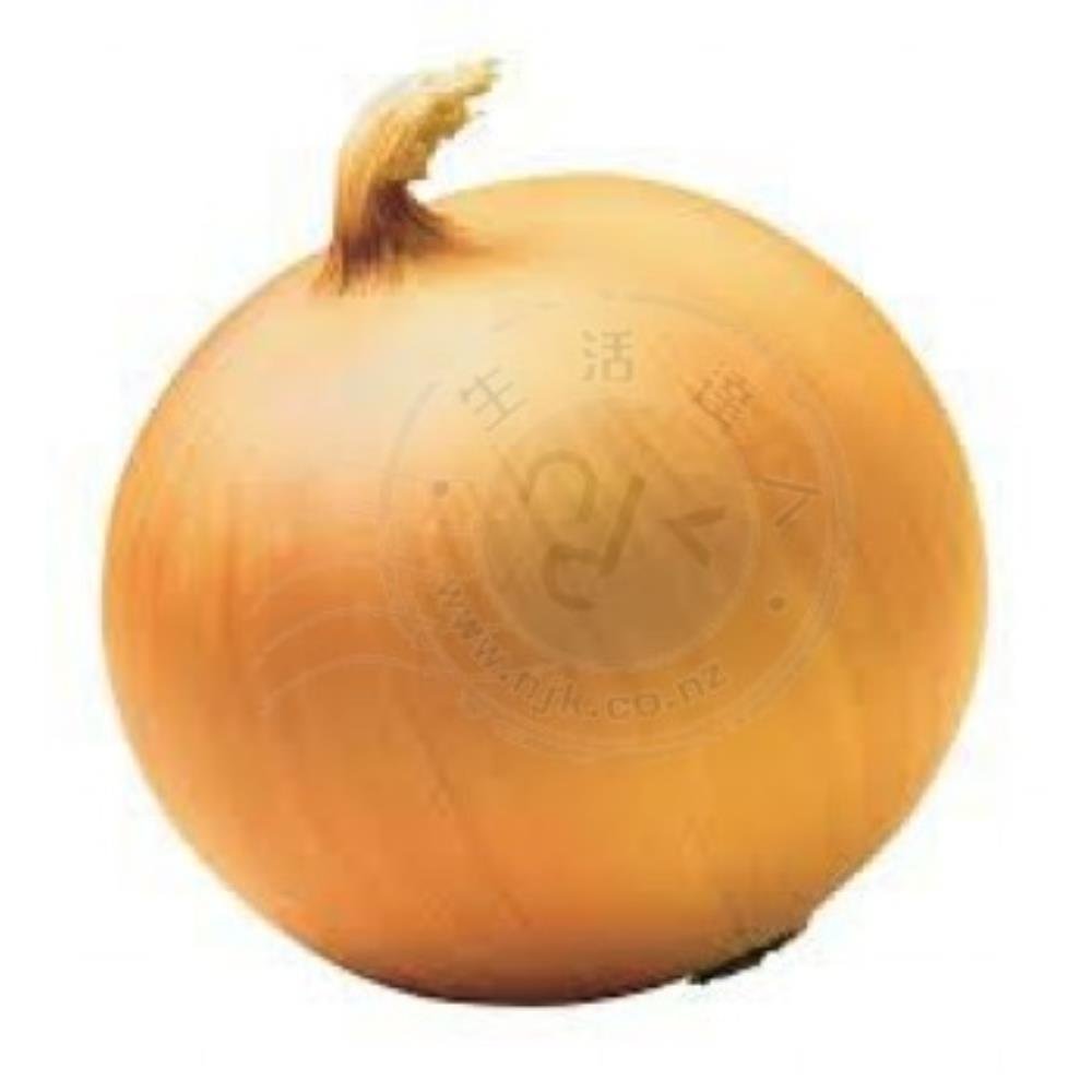 洋蔥950g-1050g Fresh Onion 950g-1050g