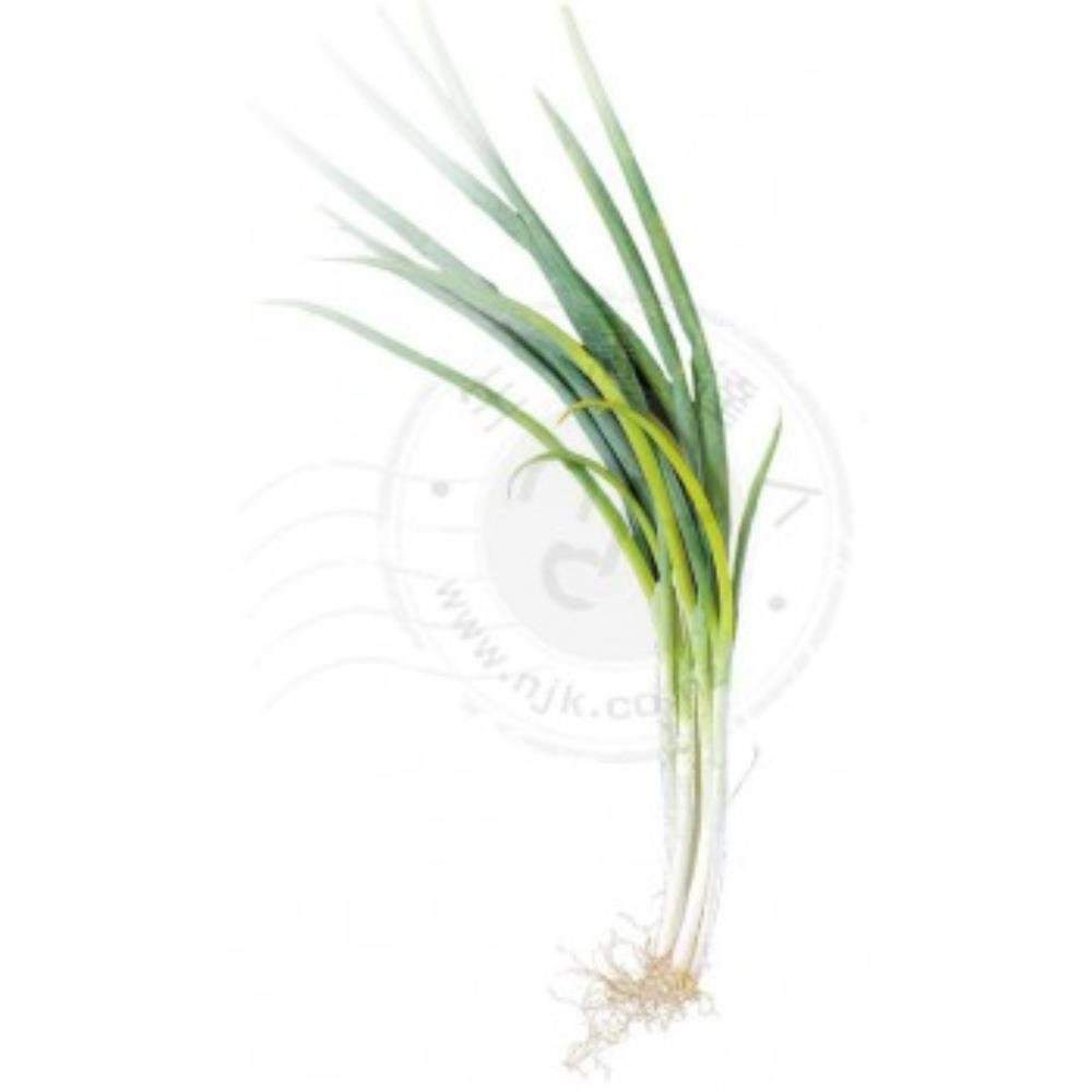 新鮮 青蔥(一束/約140g) Fresh Spring Onion per Bunch/Approx. 140g