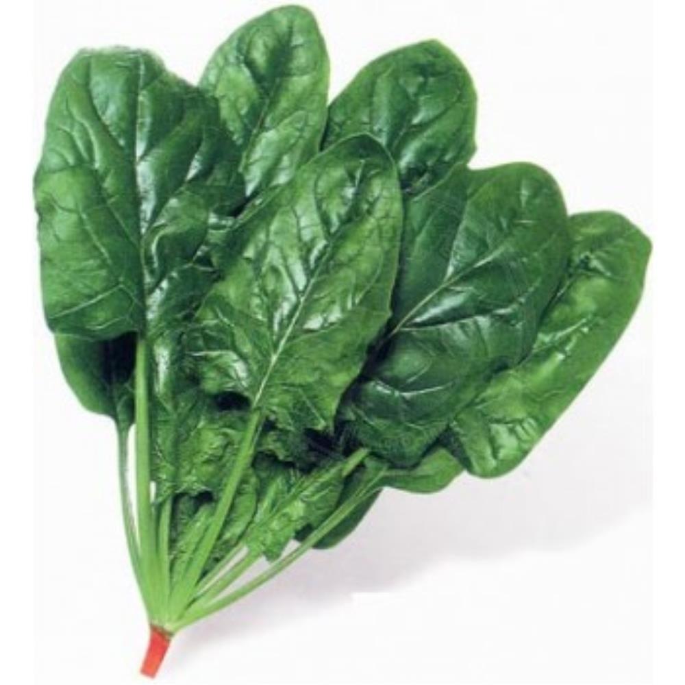 菠菜(約250g/袋) Spinach (250g/Bag)