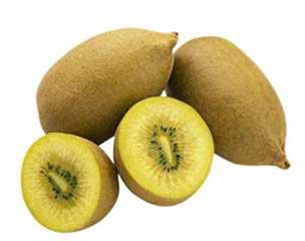 新鮮 金色奇異果950g-1050g Gold Kiwi Fruit 950g-1050g